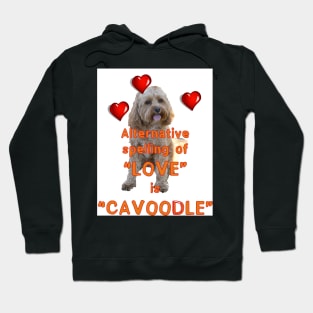 Alternative spelling of love. Hoodie